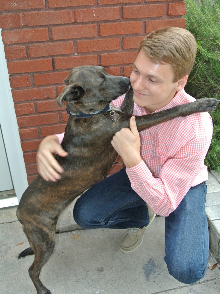dog love